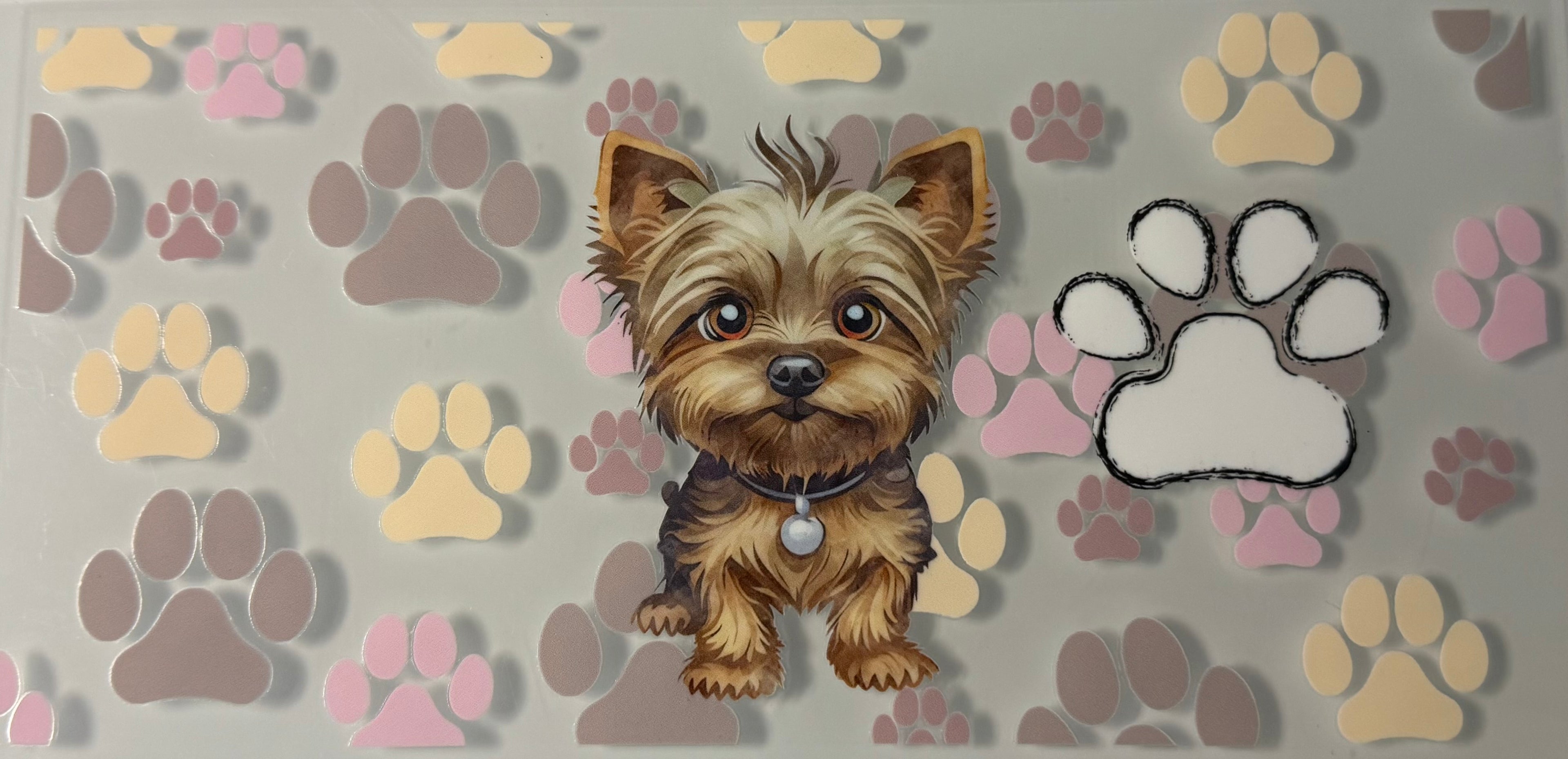 Neutral Yorkie