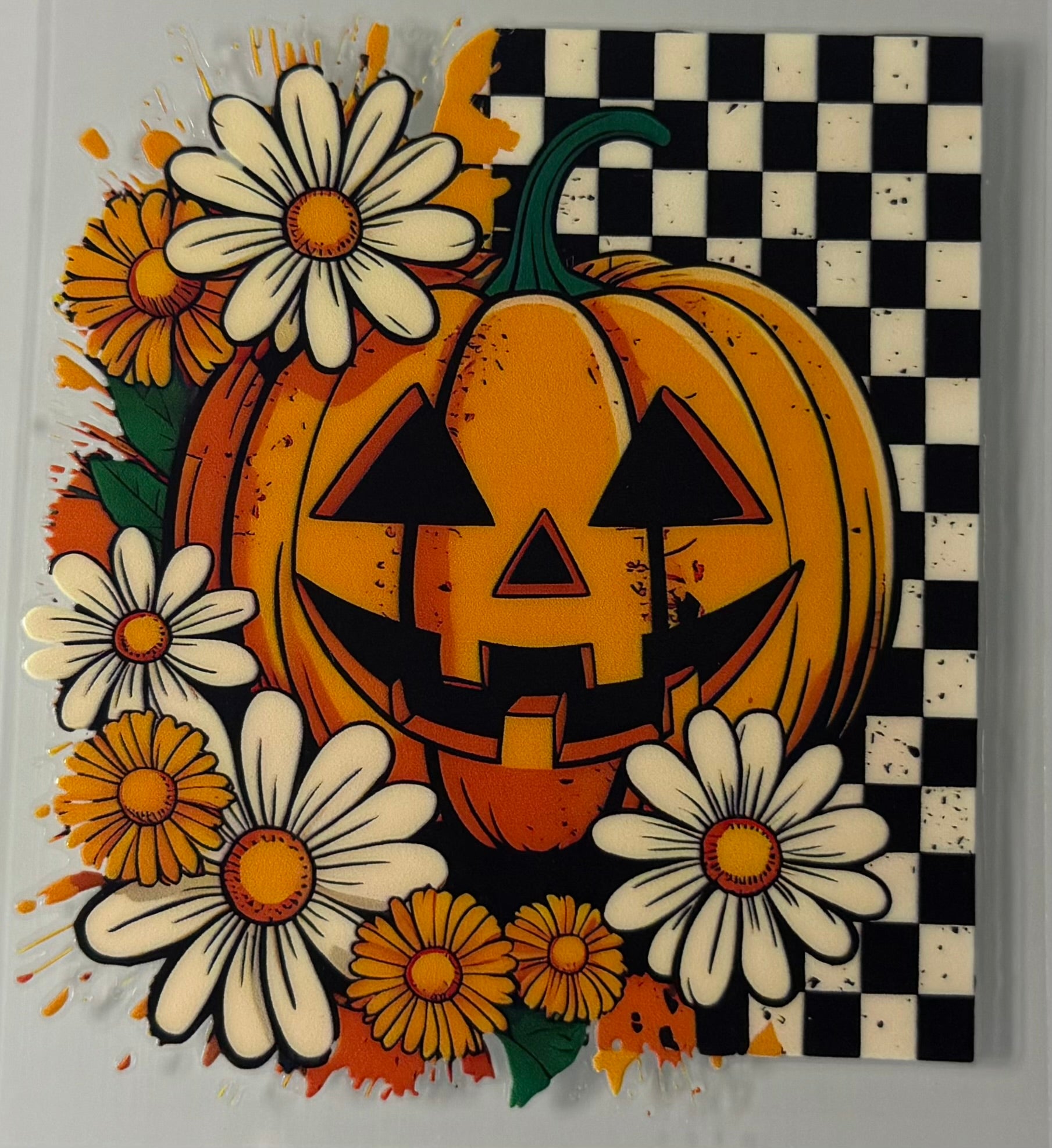 Pumpkin and Checkers