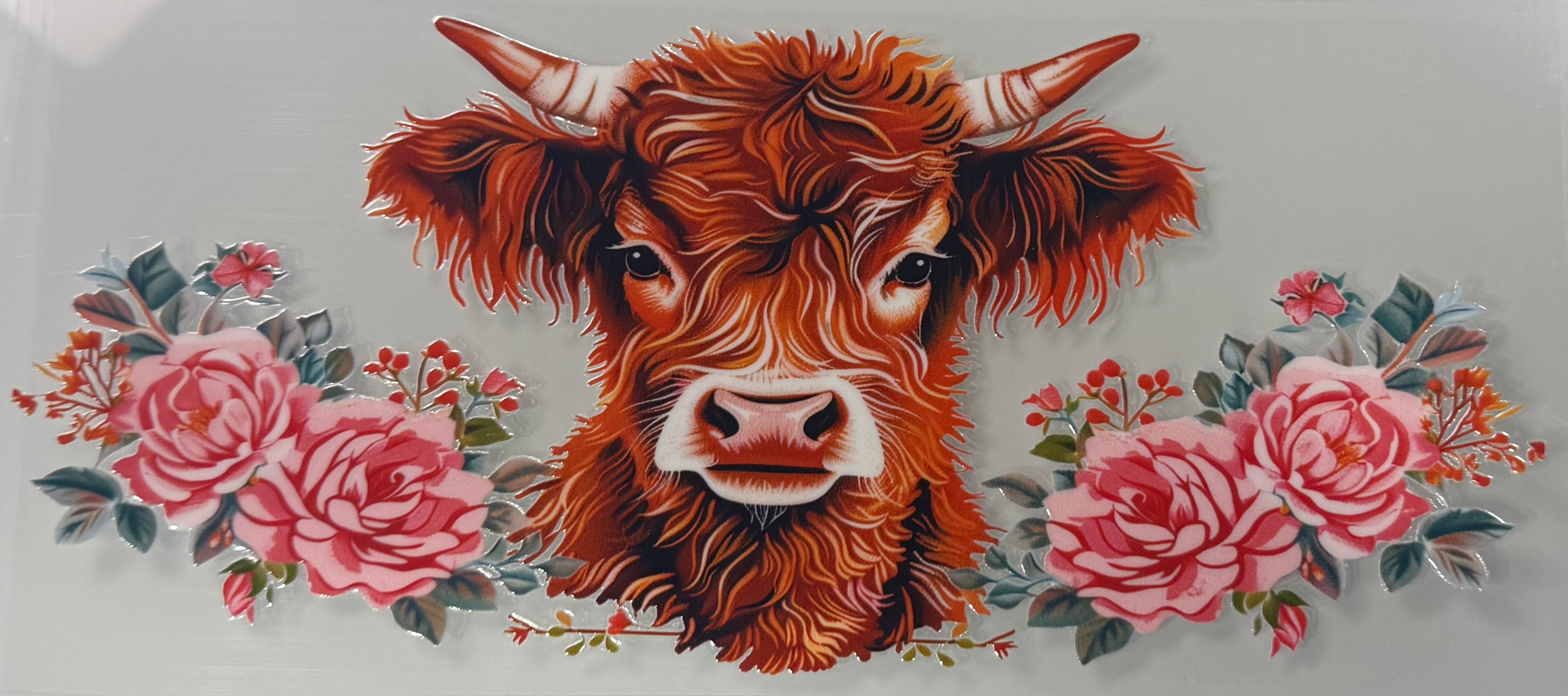 Highland Cow and Roses
